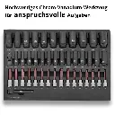 werkzeugeinlage-43-teiliges-steckschluesselsortiment~2.webp